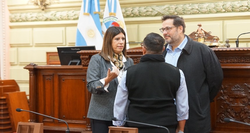 Clara García supervisó las tareas de adecuación realizadas en la cámara baja para albergar a la convención constituyente