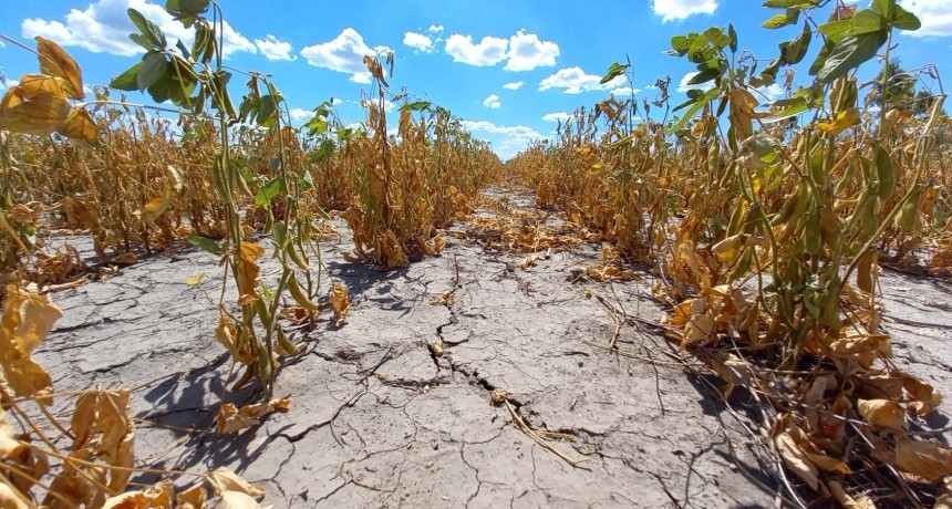 Mariano Cuvertino: “El costo de no actuar frente al cambio climático puede ser muy alto”