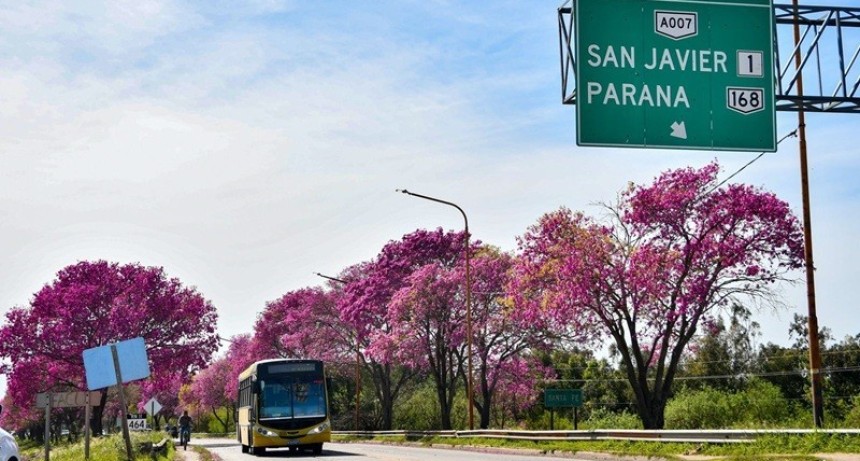 Nuevo Carretero: qued&oacute; operativo un desv&iacute;o en la mano a Santo Tom&eacute;